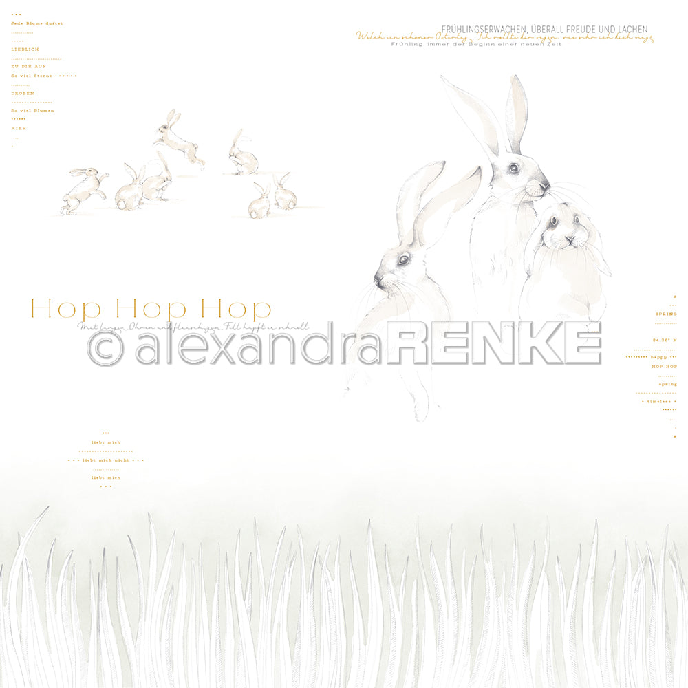 Design paper 'rabbit meadow Hop Hop Hop'