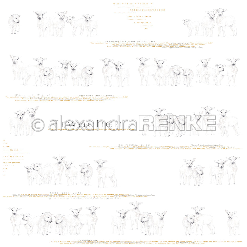 Design paper 'Lamb rows Erwachen'