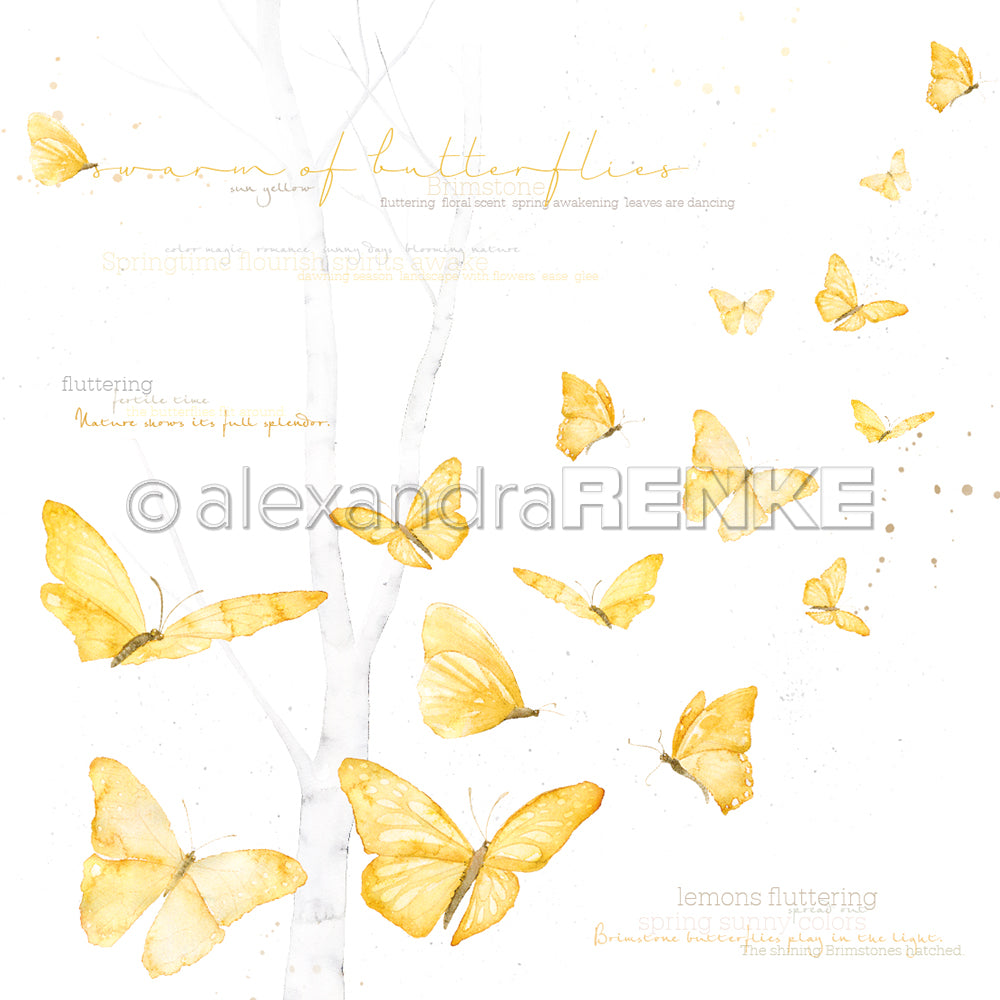 Design paper 'Butterfly swarm international'