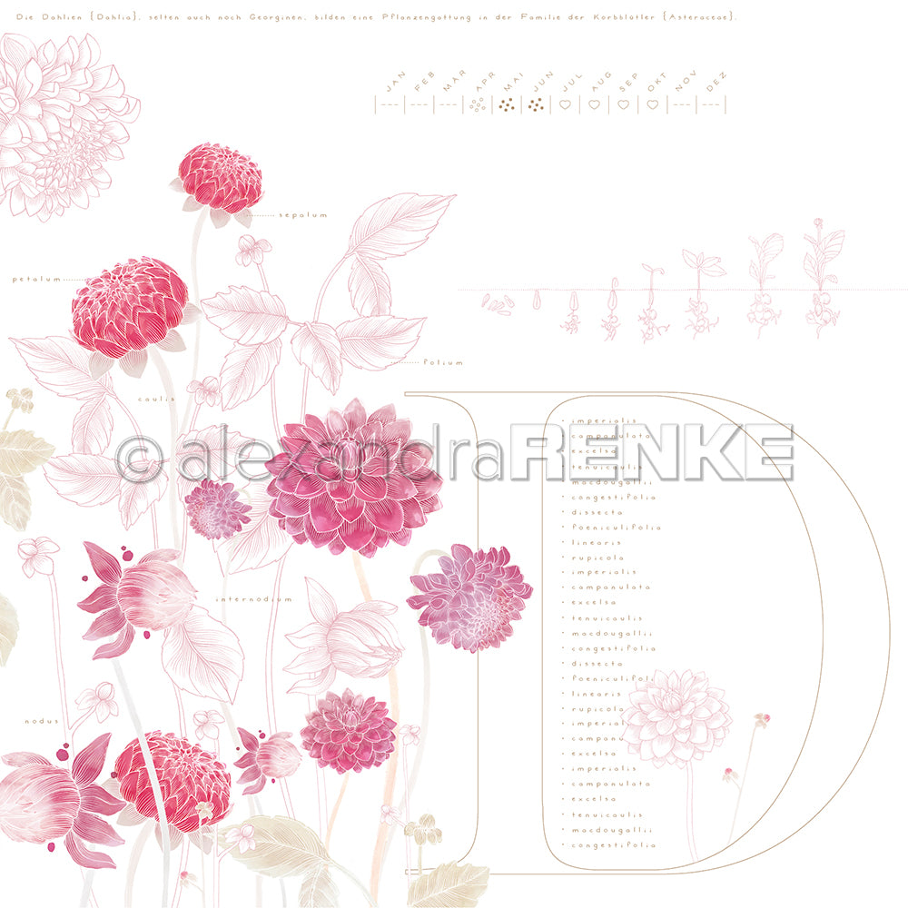 Design paper 'Herbarium D'