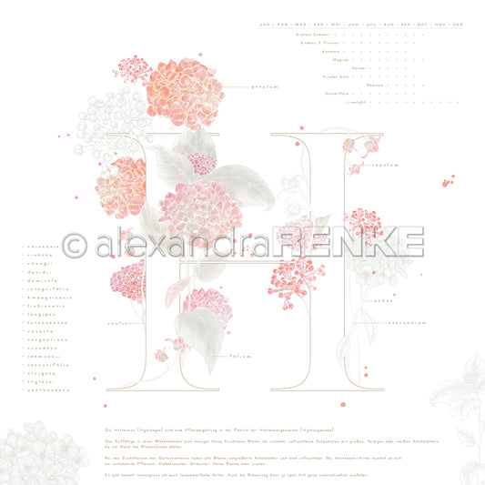Designpapier 'Herbarium H'