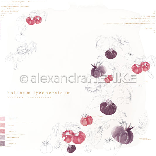 Design paper 'Solanum Lycopersicum'