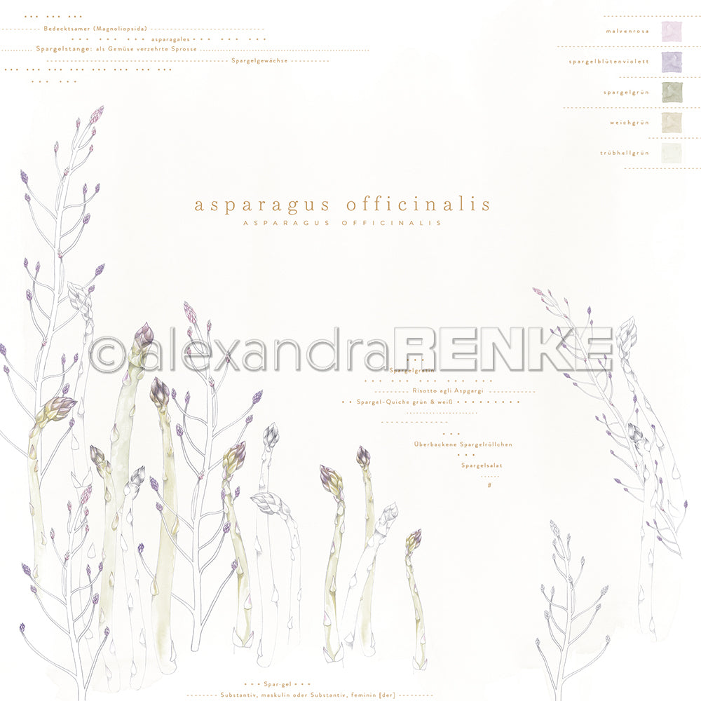 Designpapier 'Asparagus Officinalis'