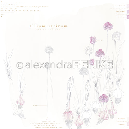 Designpapier 'Allium Sativum'