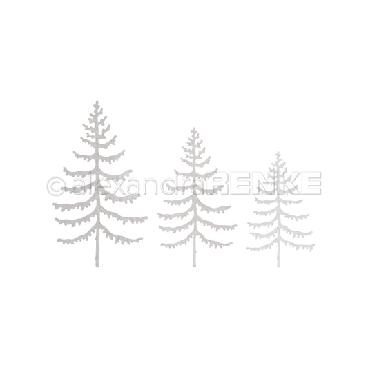 Die 'Small fir forest 1'