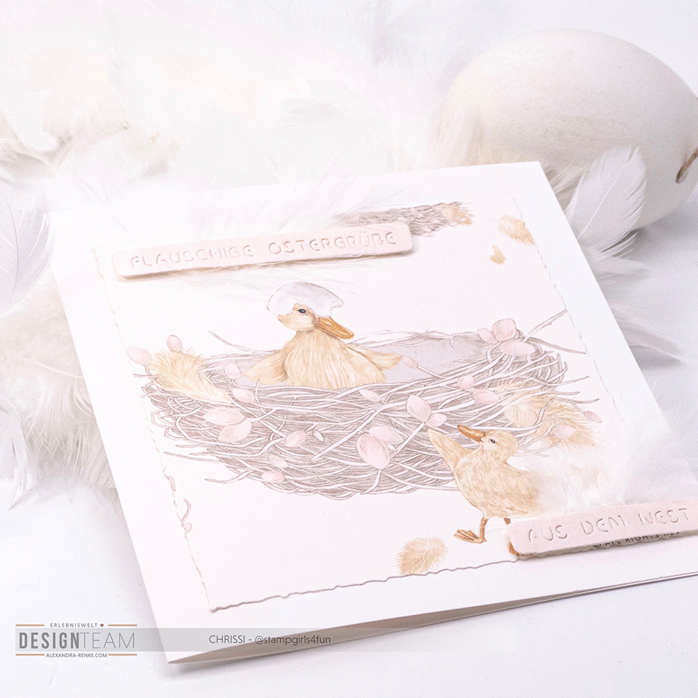 Design paper 'Chicks and nests'