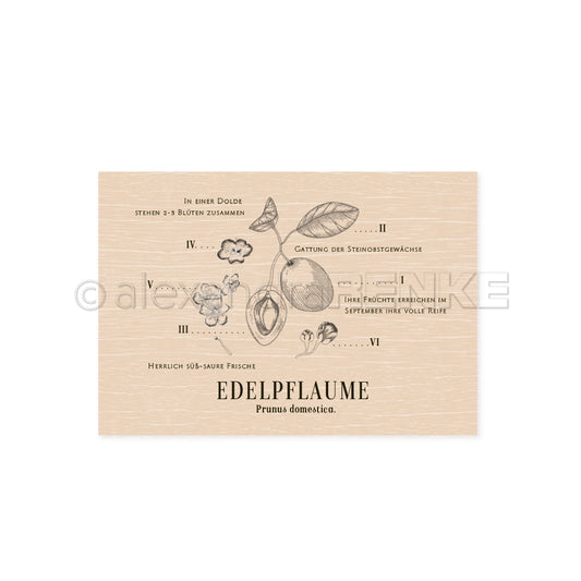 Wooden stamp 'Plum botany'