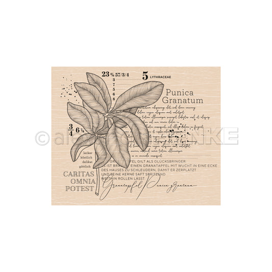 Wooden stamp 'Punica Granatum'